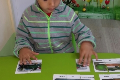 marieta2